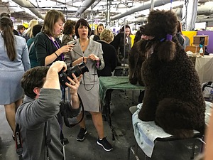 20180213-0006.jpg