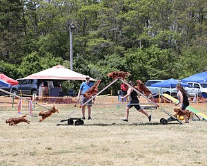 20150613-CCKCMC-0004.jpg
