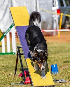 20180617-0298.jpg
