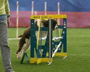 20150321-LEAP-1313.jpg