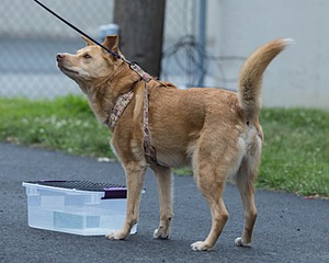 20260718-NSKC-0529.jpg