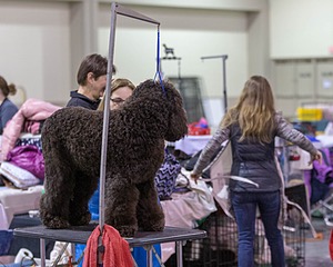 20190111-ASC-0015.jpg