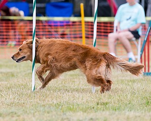 20150612-CCKC-0033.jpg