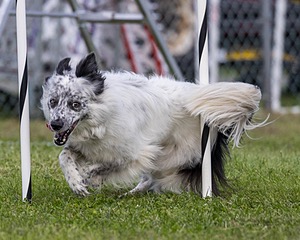 20230917-PVKC-2810.jpg