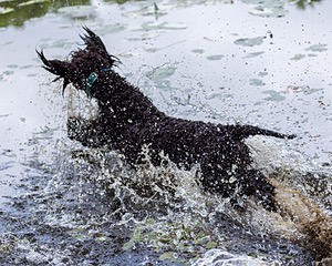 Ghillie Kezer