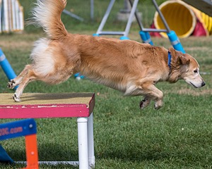 20200819-0800.jpg