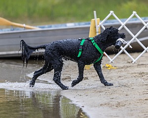 Lucy McNelly