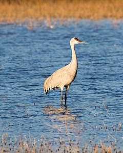 20151206-1623.jpg