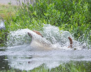 20130713-MHB2-0120.jpg