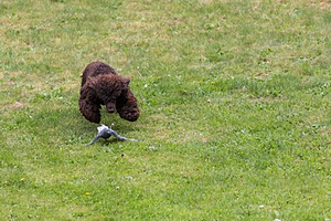 20190512-BD-0014.jpg