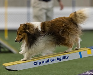 Relay Spooner