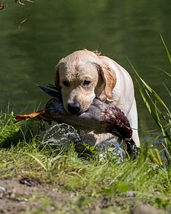 Weatherby Rowland