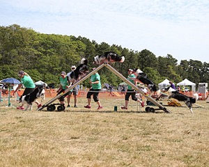 20150614-CCKCMC-0026.jpg