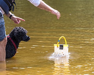 Rio Peter
