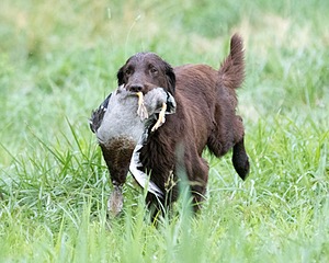 Rusty Leinoff