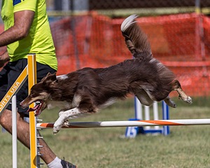 20200819-2409.jpg