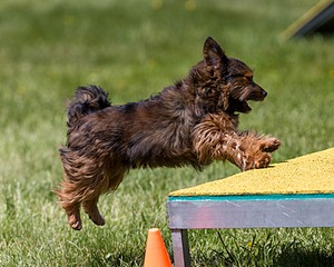20170521-NEAT-1073.jpg