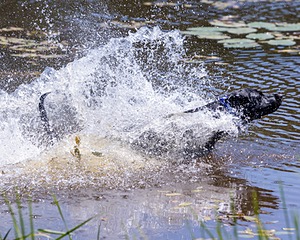 Storm Martino