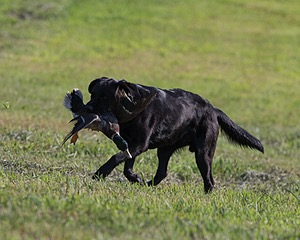 20140809-JHL-0011.jpg