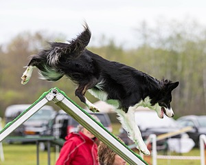 20160515-NEAT-0387.jpg