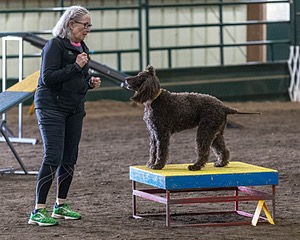20190513-AG-0196.jpg
