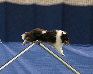 20150321-LEAP-1497.jpg