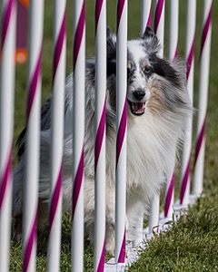 20230916-PVKC-1115.jpg