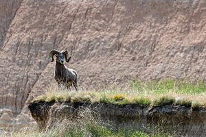 20200617-0658.jpg