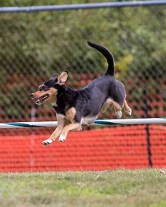 20200819-1216.jpg