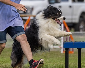 20230917-PVKC-2782.jpg