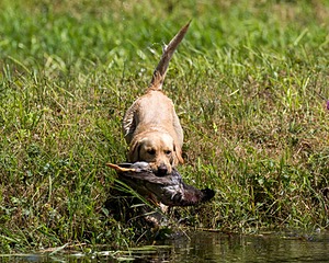 20200809-SHW-0007.jpg