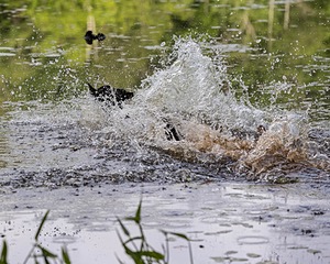 20220604-SHW-0567.jpg