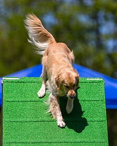 Ollie Erbe