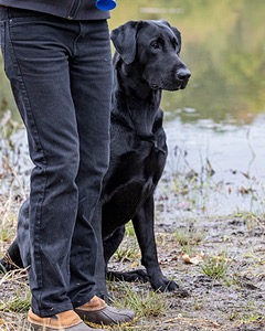 Merlin Curran