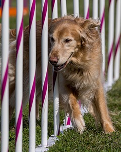 20230916-PVKC-1300.jpg