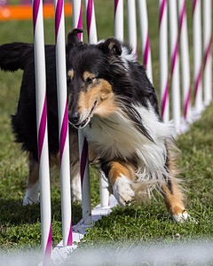 20230916-PVKC-1224.jpg