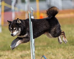 20180617-1412.jpg