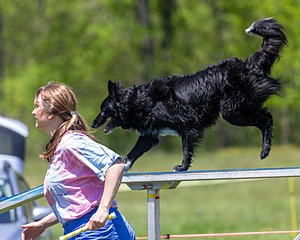 20170520-NEAT-1477.jpg
