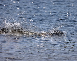 Rio Abbruzzese