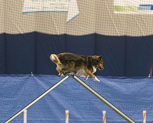 20150321-LEAP-1325.jpg