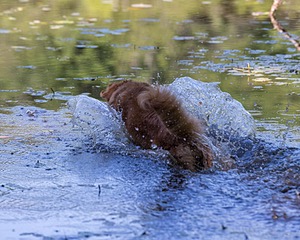 20220604-SHW-2386.jpg