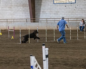 20190513-AG-0113.jpg
