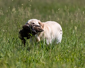20210606-SEAL-1424.jpg