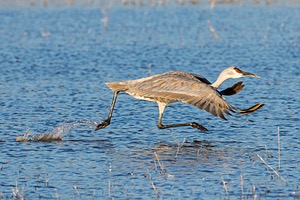 20151206-1710.jpg