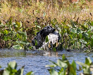 20160924-SHW-0067.jpg