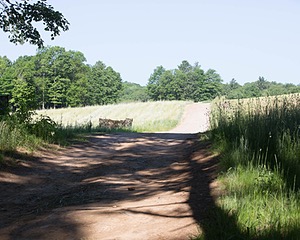 20130602-C-0003.jpg