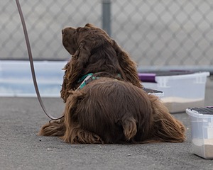 20260718-NSKC-0465.jpg