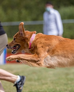 20200819-1367.jpg