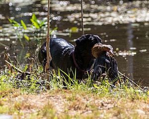 Maddie Mounce