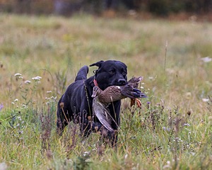 20211010-WCL-0014.jpg